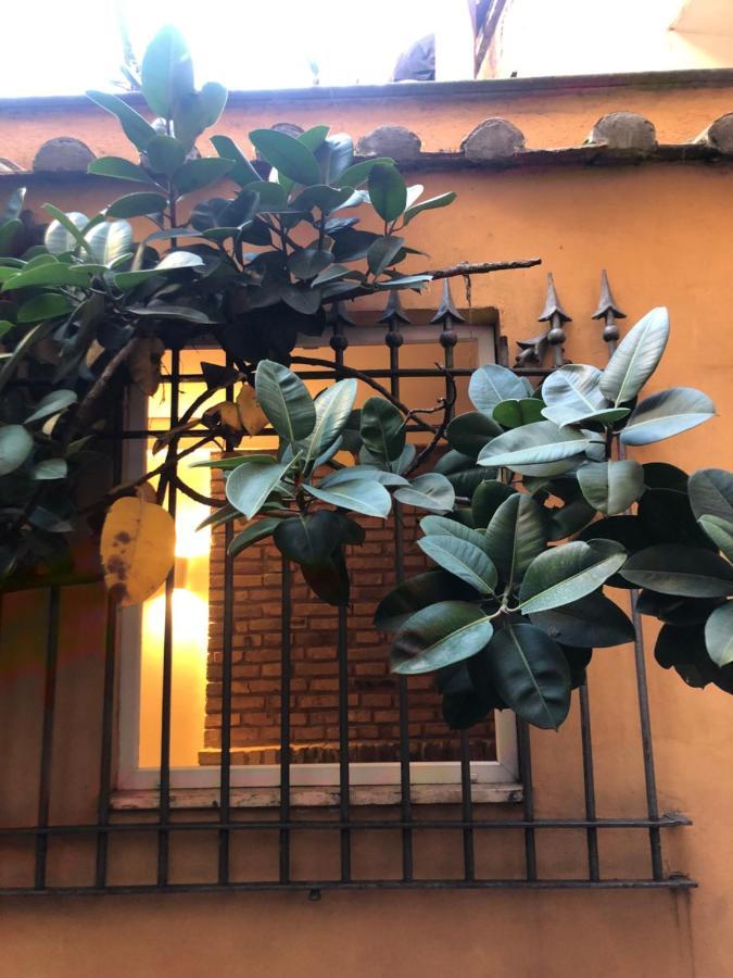 Pantheon, Campo De Fiori Mini Garden Daire Roma Dış mekan fotoğraf